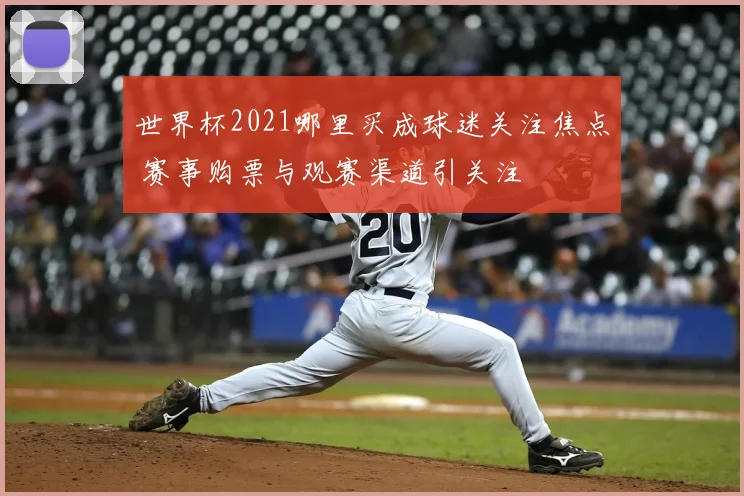 世界杯2021哪里买成球迷关注焦点 赛事购票与观赛渠道引关注
