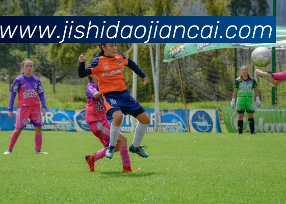 世界杯开户平台服务体系